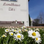 Zitz *