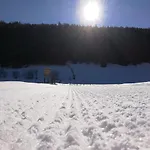 Zitz *