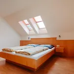 Apartment Zitz