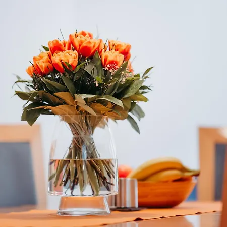 Zitz Apartment Ranten