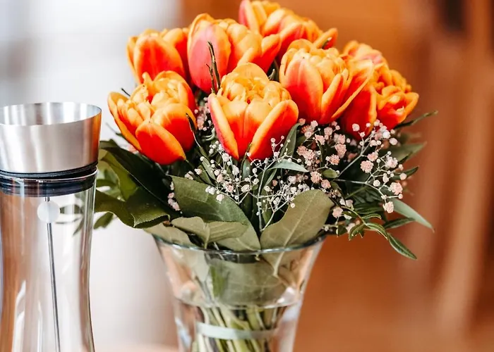 Apartamento Zitz Ranten