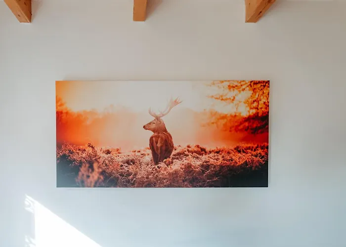 Zitz Apartamento Ranten