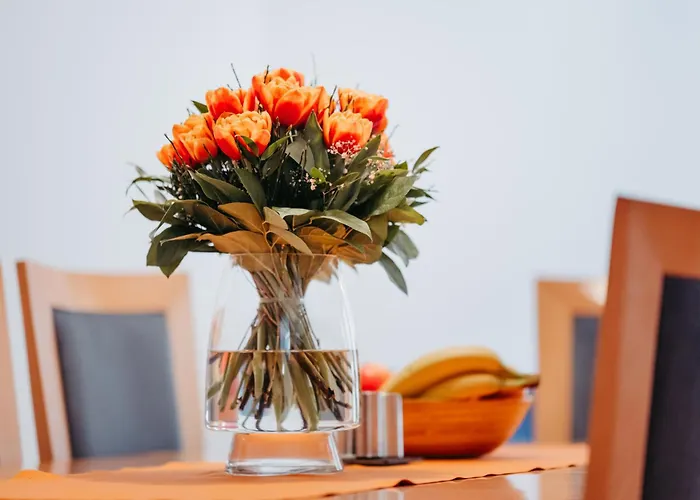 Zitz Apartamento Ranten